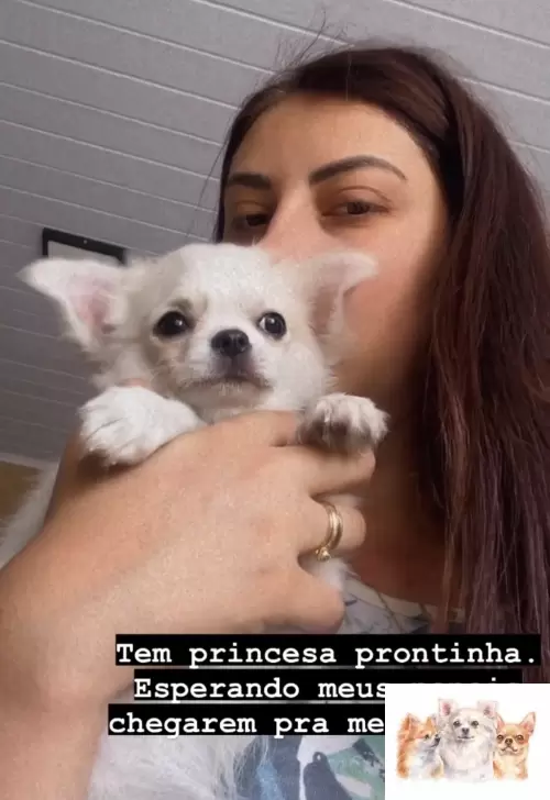 Pitty
Entregue para Ponta Grossa 