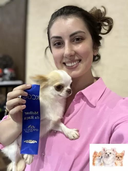 EXPOSIÇÃO KENNEL CLUBE DE CURITIBA
MARÇO 2025
NOSSA DIANINHA DESSA VEZ TEVE APRESENTAÇÃO OWNER HANDLER E MESMO ASSIM CONSEGUIMOS UM MELHOR DA RAÇA! VOCÊ É UMA BONECA ❤️